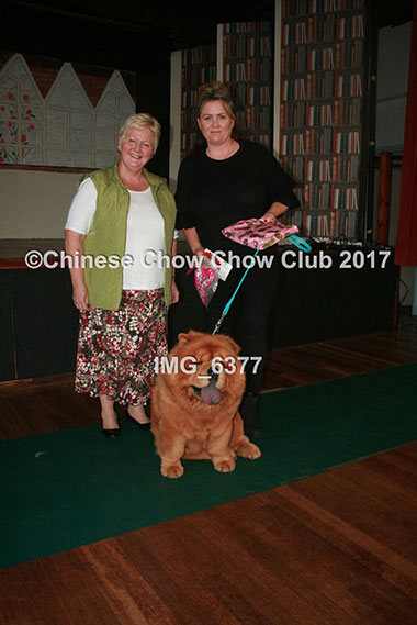 Chinese Chow Club